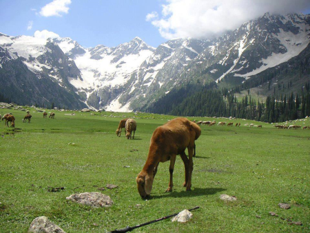 naran-kaghan-shogran